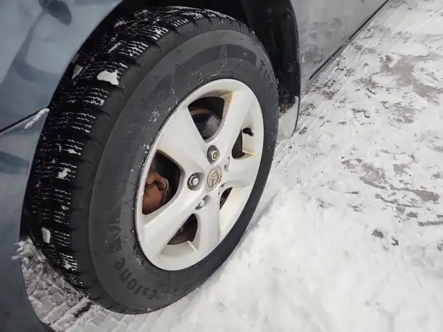 2008 Mazda Mazda3 - Photo 9