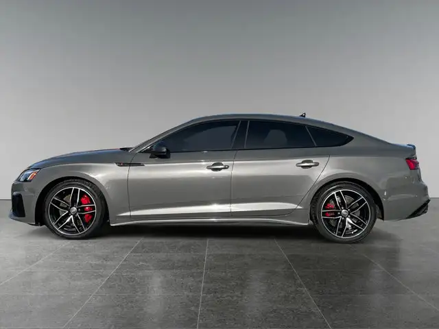 2024 Audi S5 Sportback Technik / AWD - Photo 2