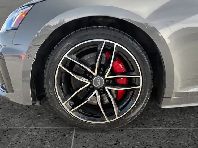 2024 Audi S5 Sportback Technik / AWD - Photo 11