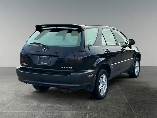 2000 Lexus RX 300 / AWD - Photo 7