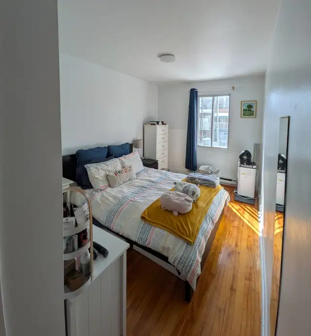 Grand 5 1/2, pour Juin/Juillet, duplex 2e étage, Villeray, Mtl - Photo 5