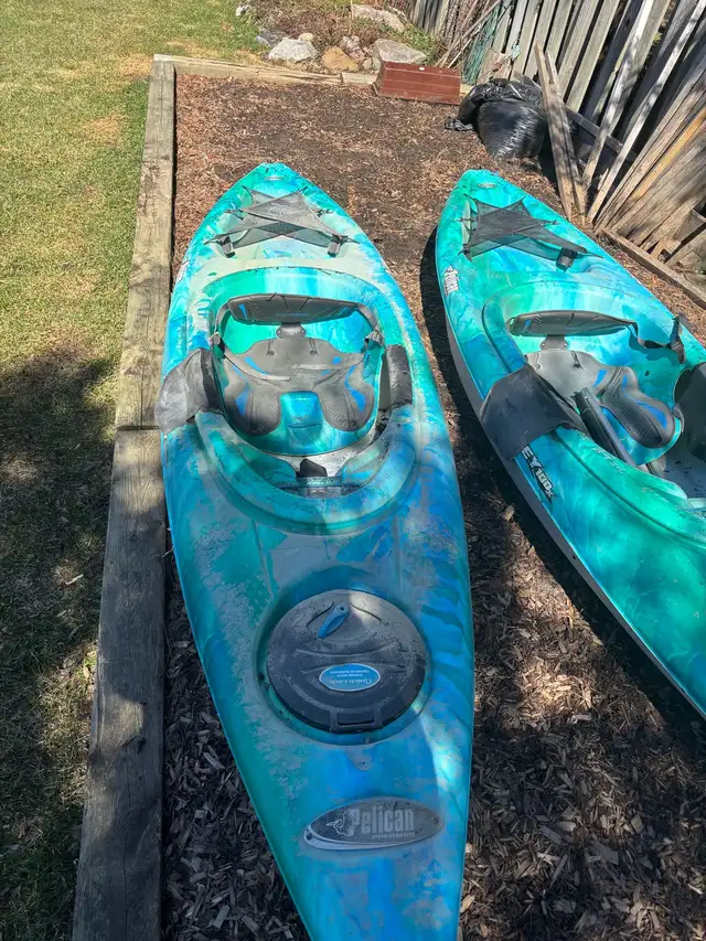 ODDESSY 100x by Pelican