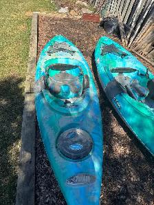 ODDESSY 100x by Pelican