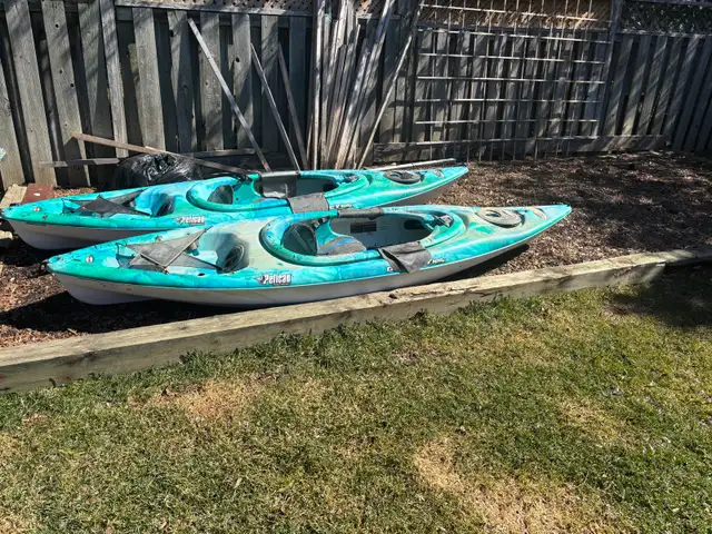 ODDESSY 100x by Pelican - Photo 2