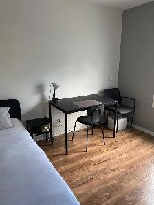 Rooms for rent in Queens University Student House - Photo 2