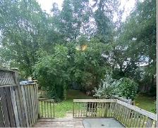 Rooms for rent in Queens University Student House - Photo 5