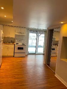 seperate entrance walkout basement for rent