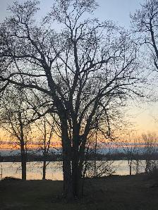 Charmant 41/2 RDP Bord de l’eau - Photo 10