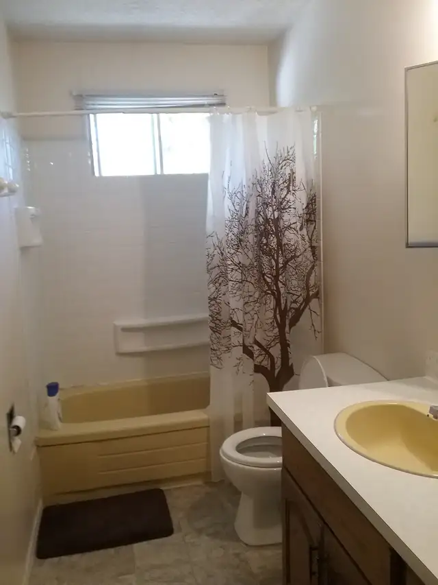 Room for rent close to U of L—-male only - Photo 7