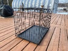 Dog Crate - Photo 3