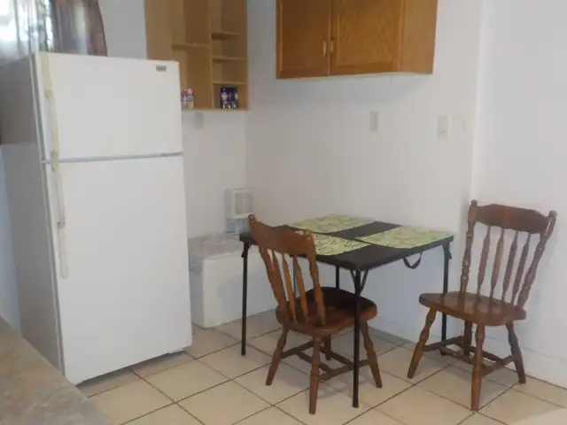 One Bedroom furnished apartment in Fort Erie - Photo 5