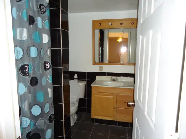 One Bedroom furnished apartment in Fort Erie - Photo 6