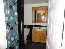 One Bedroom furnished apartment in Fort Erie - Photo 6