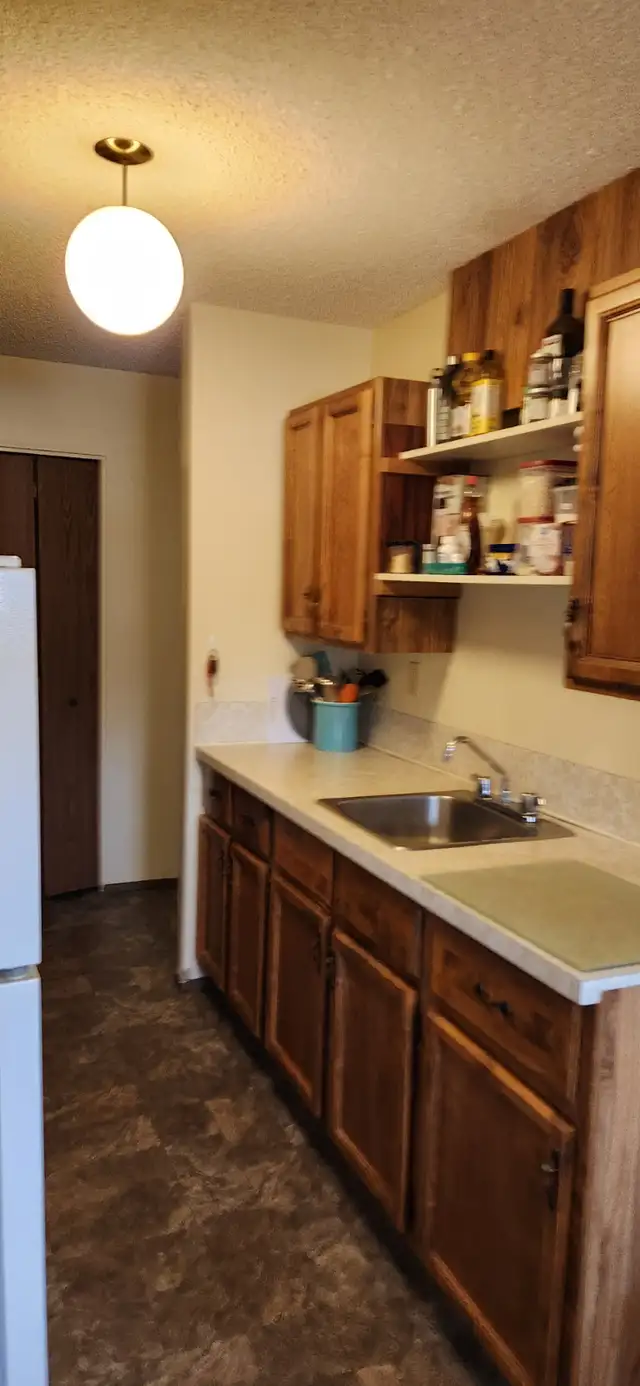 Shared Accommadations in 2 bedroom apartment - Photo 2