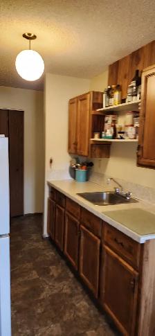 Shared Accommadations in 2 bedroom apartment - Photo 2