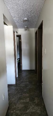 Shared Accommadations in 2 bedroom apartment - Photo 4