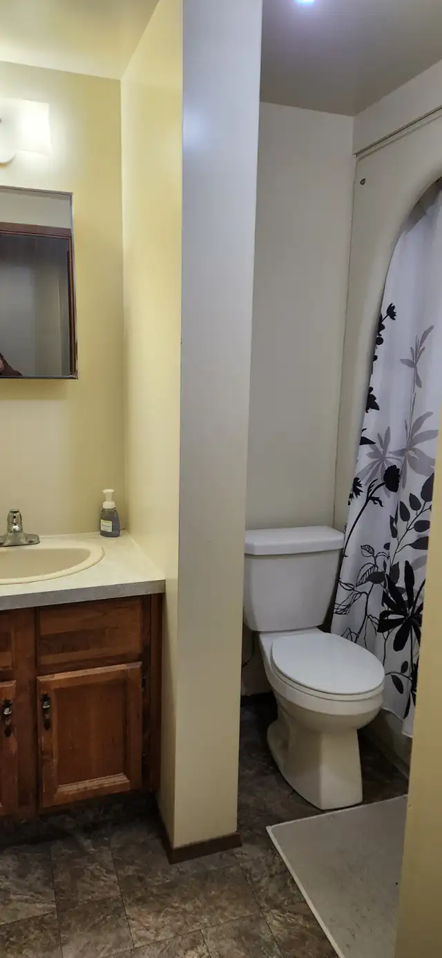 Shared Accommadations in 2 bedroom apartment - Photo 6