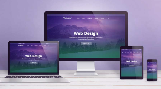 PRO. WEB DESIGN - Hamilton Website Designer - Available Now - Photo 2