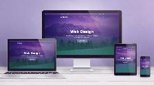 Professional Website Design - Hamilton Web Designer / Developer - Photo 3