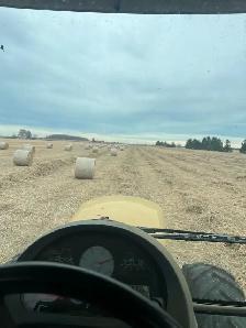 miscanthus bales for sale - Photo 2