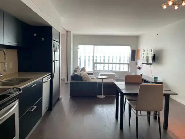 Fully Furnished One Bedroom Condo - Available July 1st - Photo 6