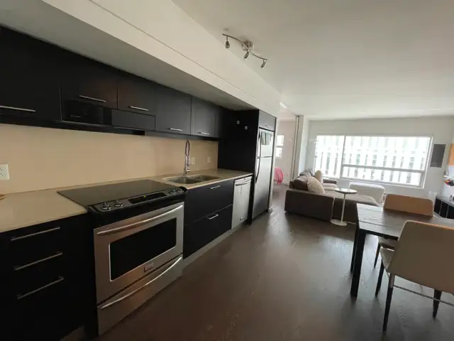 Fully Furnished One Bedroom Condo - Available July 1st - Photo 7