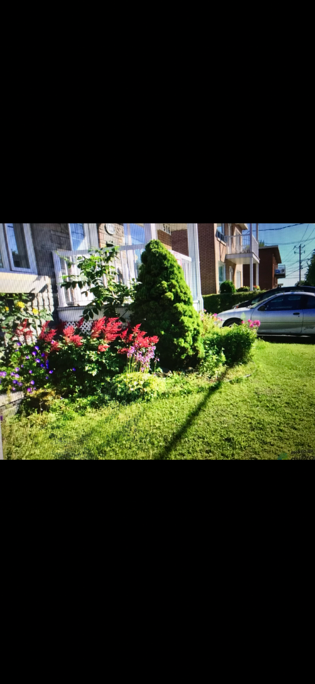 Un spacieux 4 1/2 chauffage et électricité inclus