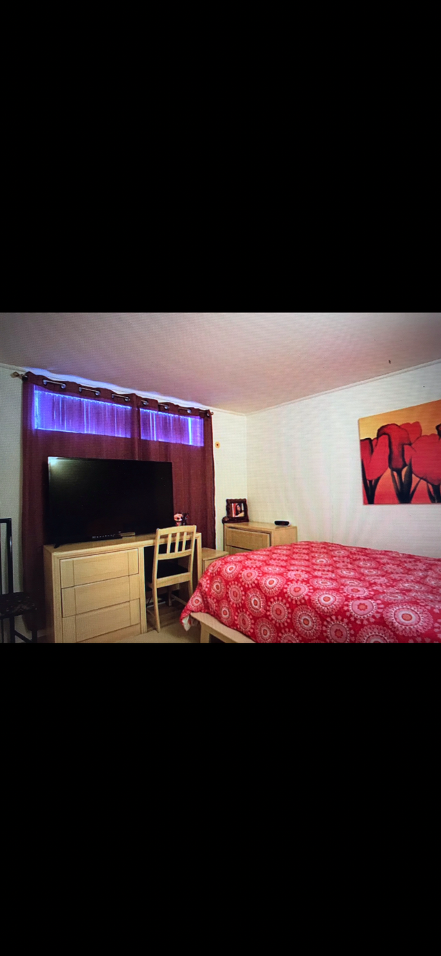 Un spacieux 4 1/2 chauffage et électricité inclus - Photo 3