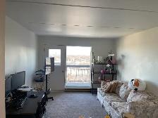 2-Bedroom Apartment with Park Views – 133 Niakwa Rd - Photo 8