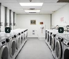 2-Bedroom Apartment with Park Views – 133 Niakwa Rd - Photo 11