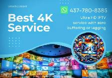 Elite Home/Media,Hub – Premium,Live & Global,Access