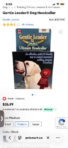 Medium Dog Haltis & Collar Lot - Photo 4