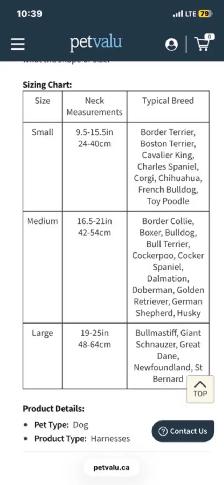 Medium Dog Haltis & Collar Lot - Photo 5