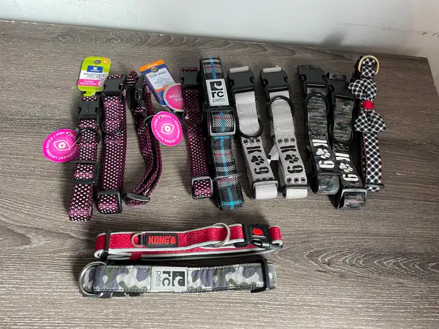 Medium Dog Collars Lot