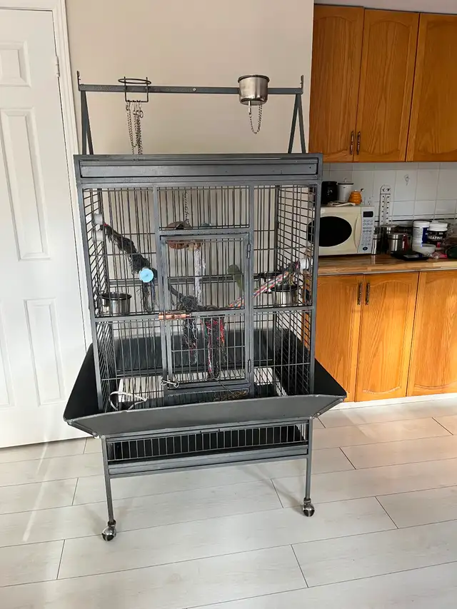 Parrot Cage