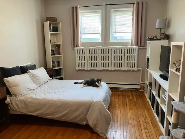 Great Location!  41/2 in NDG - heat/hot water/electricity incl. - Photo 3