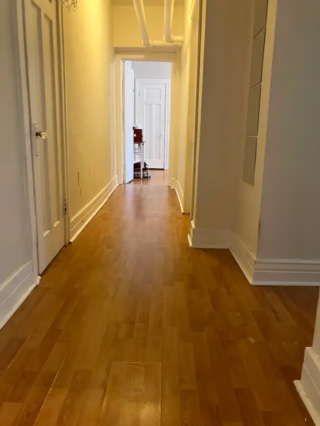 Great Location!  41/2 in NDG - heat/hot water/electricity incl. - Photo 6