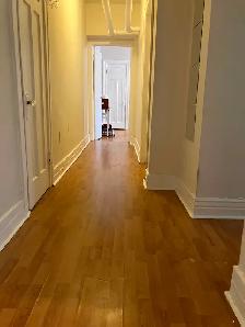 Great Location!  41/2 in NDG - heat/hot water/electricity incl. - Photo 6