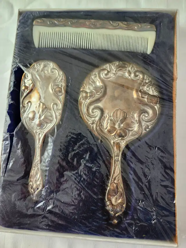 Antique Hairbrush set in box