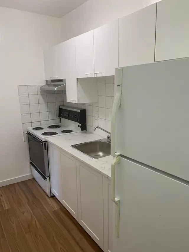 4½ rénové et ensoleillé au centre-ville Montreal métro Guy-Conco - Photo 5