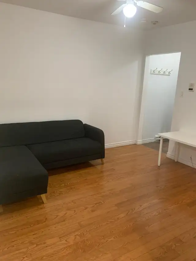 4½ rénové et ensoleillé au centre-ville Montreal métro Guy-Conco - Photo 9