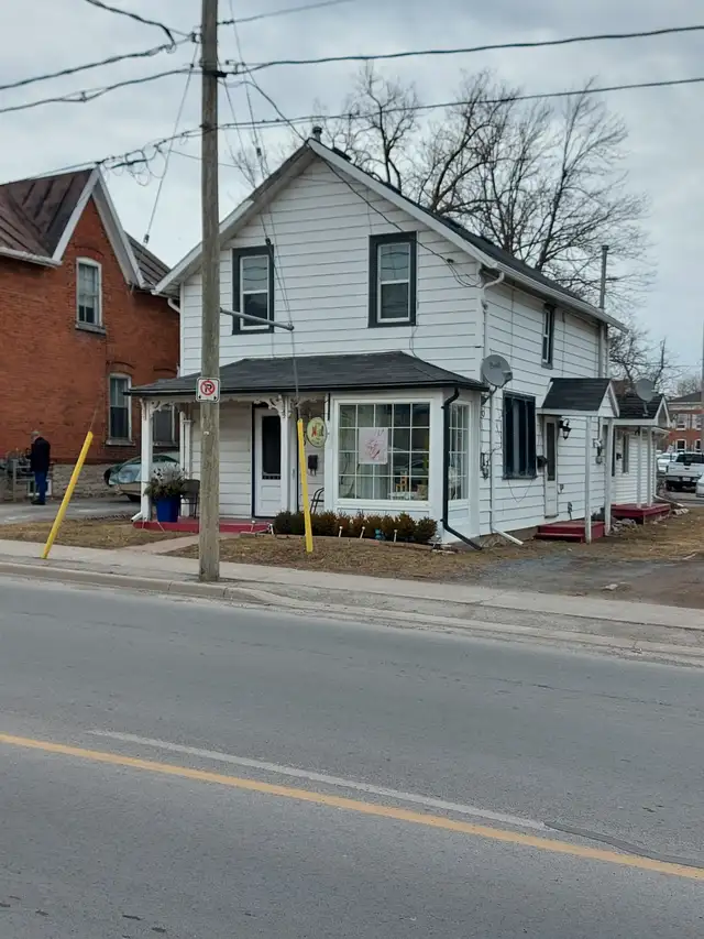 boutique commercial/professional storfront space