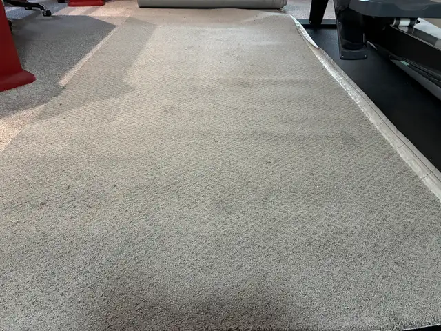 New Carpet - Photo 2