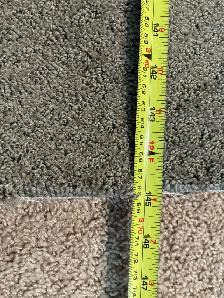 New Carpet - Photo 3