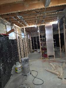 highly Skilled renovator looking for work