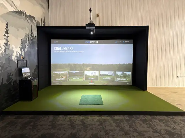 Custom Golf Simulator Wall & Ceiling Panels - Photo 5