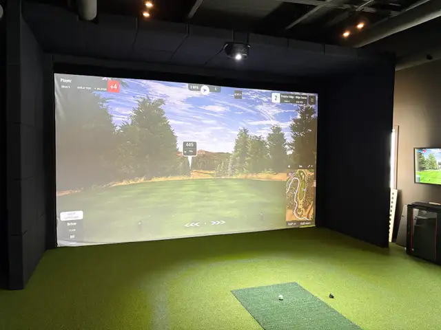 Custom Golf Simulator Wall & Ceiling Panels - Photo 8