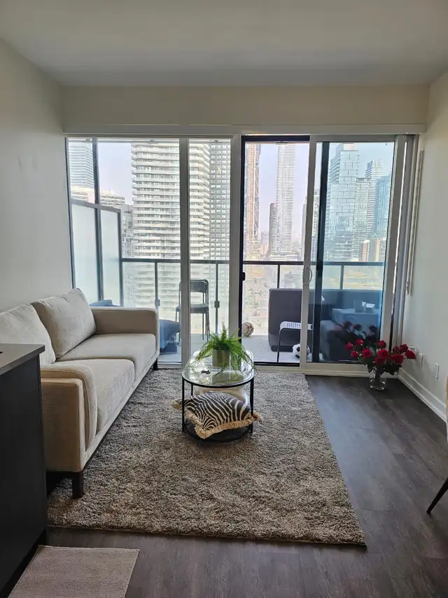 Luxury 1   1 Condo For Summer Sublease