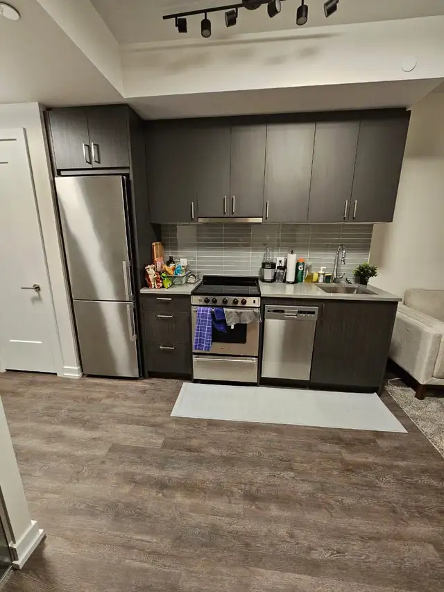 Luxury 1   1 Condo For Summer Sublease - Photo 3