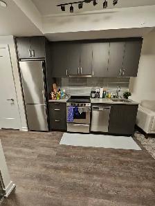 Luxury 1   1 Condo For Summer Sublease - Photo 3